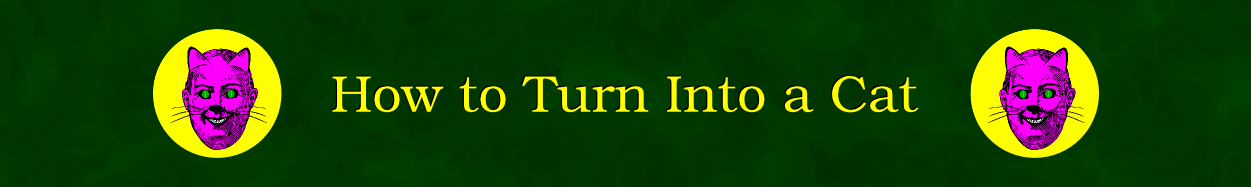 How to Turn into a Cat feature image